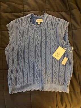 Ruffle Sleeve Cable Knit Sweater Vest in Light Blue by Free Assembly